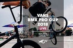 Vans BMX Procup 2018